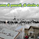 Cupi di Visso celebra un quarto di secolo di tradizioni: al via la 25ª edizione della Mostra del Pecorino